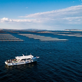 Croisière, de l'eau douce à l'eau salée