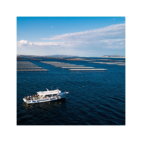 Croisière, de l'eau douce à l'eau salée