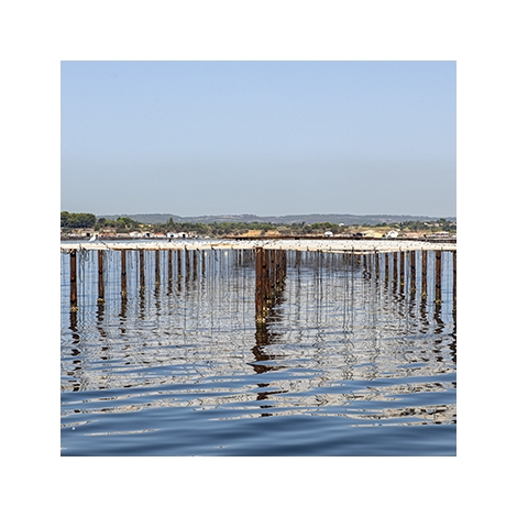 Journée à Bouzigues (SLVie Hérault)