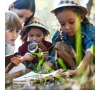 Eveil à la nature (SLVie Hérault)