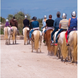 Découverte de la Camargue à cheval et en calèche (SLVie 4)