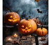 Halloween à OK Corral (SLVie 4)