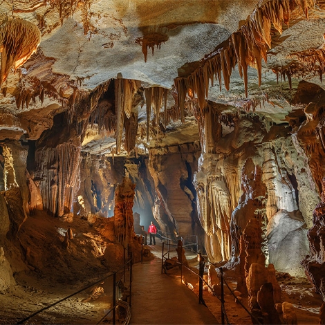 Journée Grotte de la Cocalière (SLVie Hérault)