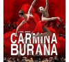 Spectacle Carmina Burana (SLVie 7)