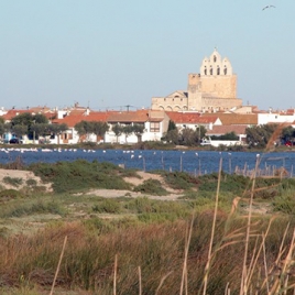 Les saintes Marie de la Mer en Camargue ( SLVie 4 )