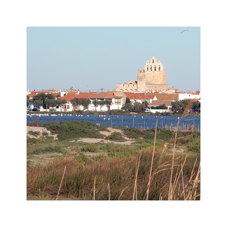 Les saintes Marie de la Mer en Camargue ( SLVie 4 )